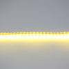 Светодиодная лента DIP PVC5 Standart PRO class,  96led/m, Warm White, 12V, IP65