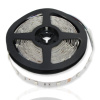 Светодиодная лента Standart PRO class, 5050, 30 led/m, RGB, 12V, IP20