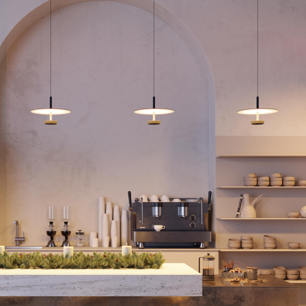 Светильник SP-CAMPANA-HANG-D300-9W Warm3000 (BK, 130 deg, 230V) (Arlight, IP20 Металл, 5 лет)