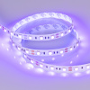 Лента RT 2-5000 12V UV400 2x (5050, 300 LED, LUX) (Arlight, 14.4 Вт/м, IP20)