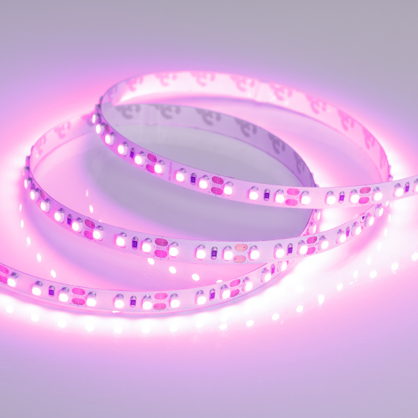 Лента RT 2-5000 12V Pink 2X (3528, 600 LED, LUX) (Arlight, 9.6 Вт/м, IP20)