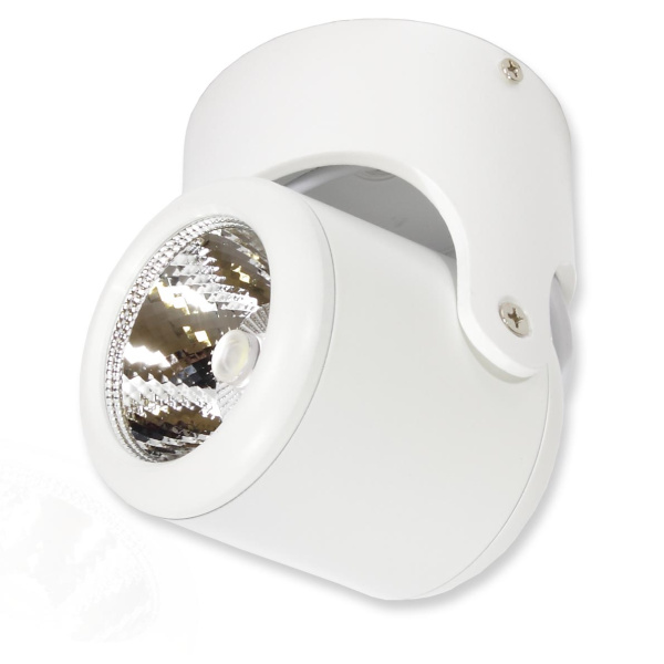 Cветодиодный светильник JH-BTH-05 White V163 (10W, 220V, warm white)