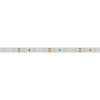 Лента RTW 2-5000SE 12V Cool (3528, 300 LED, LUX) (Arlight, 4.8 Вт/м, IP65)