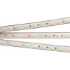 Лента RTW 2-5000PS 24V White6000 2x (5060, 300 LED, LUX) (Arlight, 14.4 Вт/м, IP67)
