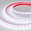 Лента RTW 2-5000PS 12V Cool 8K 2x (5060, 300 LED, LUX) (Arlight, 14.4 Вт/м, IP67)