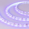 Лента RT 2-5000 12V UV400 (3528, 300 LED, W) (Arlight, 4.8 Вт/м, IP20)