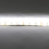 Светодиодная лента Standart PRO class, 5050, 60led/m, Warm White, 12V, IP65