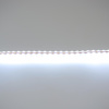 Светодиодная лента DIP PVC4 Standart PRO class,  96led/m, White, 12V, IP65.