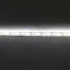 Светодиодная лента Econom class, 3528, 120led/m, Warm White, 12V, IP65