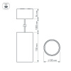 Светильник подвесной SP-POLO-R85-2-15W Day White 40deg (Silver, Gold Ring) (Arlight, IP20 Металл, 3 года)