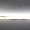 Светодиодная лента Standart PRO class, 3528, 240 led/m, Warm White, 24V, IP65