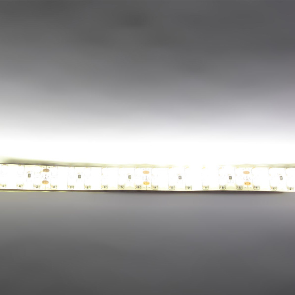 Светодиодная лента Standart PRO class, 3528, 240 led/m, Warm White, 24V, IP65