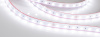 Лента RTW 2-5000PS 24V White6000 2x (5060, 300 LED, LUX) (Arlight, 14.4 Вт/м, IP67)