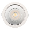 Светильник LTD-LEGEND-R115-10W Day4000 (WH, 50 deg) (Arlight, IP20 Металл, 3 года)