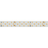 Лента RT 2-5000 24V Cool 8K 3x2 (2835, 1260 LED, LUX) (Arlight, 27 Вт/м, IP20)