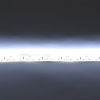 Светодиодная лента LUX class, 3528, 120 led/m, White, 12V, IP65