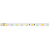 Лента RT-B60-10mm 24V White-MIX (14.4 W/m, IP20, 5060, 5m) (Arlight, Изменяемая ЦТ)