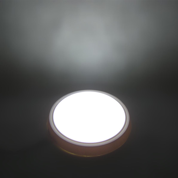 Светодиодный светильник MR-RW D250 (12W, Day White)