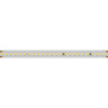 Лента IC 2-50000 48V White6000 12mm (2835, 144 LED/m, LUX) (Arlight, 5.8 Вт/м, IP20)