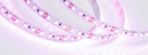 Лента RT 2-5000 12V Pink 2X (3528, 600 LED, LUX) (Arlight, 9.6 Вт/м, IP20)