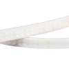 Лента RTW 2-5000PW 24V White6000 2x2 (3528, 1200 LED, LUX) (Arlight, 19.2 Вт/м, IP66)