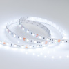 Лента RT 2-5000 12V Cool 8K 2x (5060, 300 LED, LUX) (Arlight, 14.4 Вт/м, IP20)
