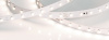 Лента RT-50000 48V Day4000 (3528, 78 LED/m, 50m) (Arlight, 4 Вт/м, IP20)