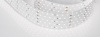 Лента RT 2-2500 24V Day5000 5x2 (2835, 875 LED, CRI98) (Arlight, 36 Вт/м, IP20)