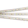 Лента RTW 2-5000PS 24V White6000 2x (5060, 300 LED, LUX) (Arlight, 14.4 Вт/м, IP67)