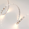 Лента RT 2-5000 24V Warm2700 (3528, 300 LED, S-LUX) (Arlight, Открытый)