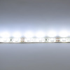 Светодиодная лента LUX class, 3528, 60 led/m, White,12V, IP65