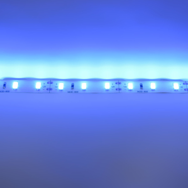 Светодиодная лента  Standart PRO class, 5630, 60led/m, Blue,12V, IP20