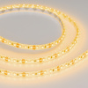Лента RTW 2-5000SE 12V Yellow 2x (3528, 600 LED, LUX) (Arlight, 9.6 Вт/м, IP65)