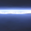 Светодиодная лента Standart class, 3528, 120led/m, White, 12V, IP65