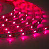 Светодиодная лента Class Premium 3838 72 led/m, RGB+CCT (RGB+white/ warm white), 12V, IP20, А41
