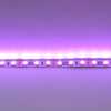 Светодиодная лента LUX class, 5050, 72 led/m, RGB, 12V, IP33