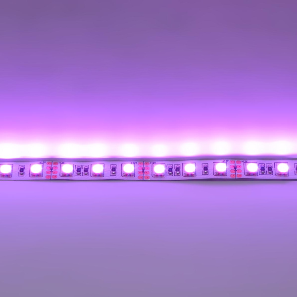 Светодиодная лента LUX class, 5050, 72 led/m, RGB, 12V, IP33