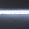 Светодиодная лента Standart PRO class, 3528,120 led/m, white,12V, D38, nano IP65