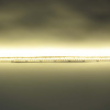 Светодиодная лента Standart PRO class, 3528, 240 led/m, Warm White, 24V, IP33, D420, однорядная
