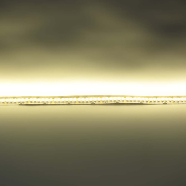 Светодиодная лента Standart PRO class, 3528, 240 led/m, Warm White, 24V, IP33, D420, однорядная