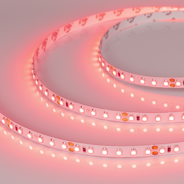 Лента RT 2-5000 24V Red 2х (3528, 600 LED, LUX) (Arlight, 9.6 Вт/м, IP20)