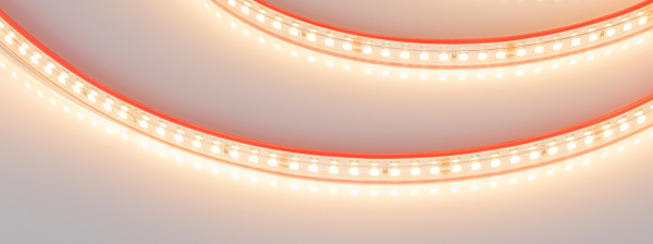 Лента герметичная RTW-PS-A160-10mm 24V Warm2700 (12 W/m, IP67, 2835, 5m) (Arlight, 12 Вт/м, IP67)