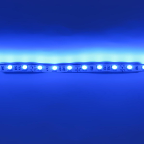 Светодиодная лента  Standart PRO class, 5050, 60led/m, Blue, 12V, IP20