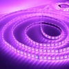 Светодиодная лента LUX class, 5050 (4 chips), 60 led/m, RGBWW, 12V, IP65, P207