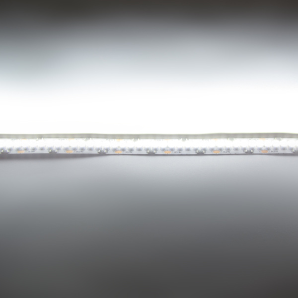 Светодиодная лента LUX class, 3528, 240 led/m, White, 24V, IP33 однорядная