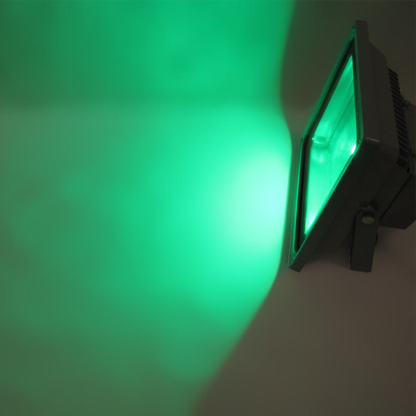 Светодиодный прожектор Standart (50W, 220V, RGB)