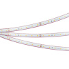 Лента герметичная RTW-PS-A60-10mm 24V Warm2700 (4.8 W/m, IP67, 2835, 50m) (Arlight, -)