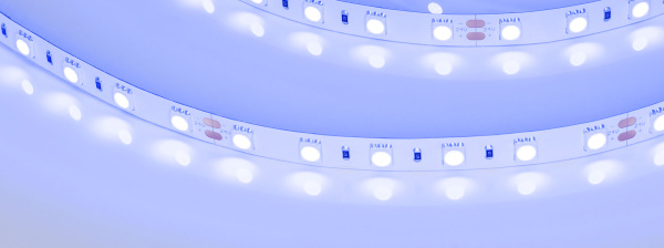 Лента RT-B60-10mm 24V Blue (14.4 W/m, IP20, 5060, 5m) (Arlight, Открытый)