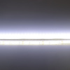 Светодиодная лента Standart PRO class, 3528, 120 led/m, Day White, 24V, IP65