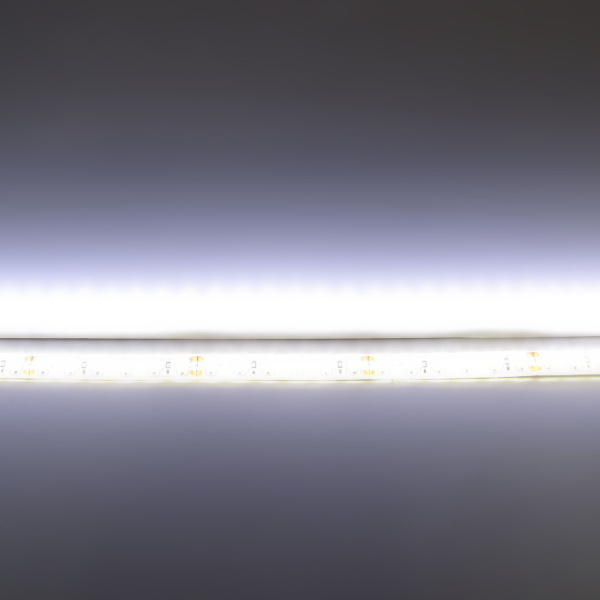 Светодиодная лента Standart PRO class, 3528, 120 led/m, Day White, 24V, IP65